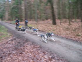 IMG_5631.jpg